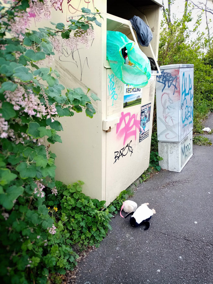 Eine Kleiderbox steht zwischen blühenden Pflanzensträuchern und einem Stromkasten seitlich am Bürgersteig. Aus der Kleiderbox ragen geöffnete Mülltüten. Ein Stoffpinguin liegt vor der Kleiderbox auf dem Boden.